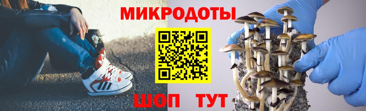Псилоцибиновые грибы прущие грибы Советск